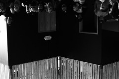 113-_DSF7982
